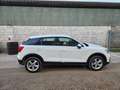 Audi Q2 30 1.6 tdi Bianco - thumbnail 2