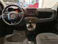 Fiat Panda Panda III 2021 1.0 firefly hybrid s Noir - thumbnail 11