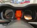 Fiat Panda Panda III 2021 1.0 firefly hybrid s Noir - thumbnail 12