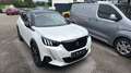 Peugeot 2008 GT Line BlueHDi 130 EAT8 Weiß - thumbnail 3