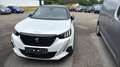 Peugeot 2008 GT Line BlueHDi 130 EAT8 Weiß - thumbnail 2