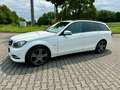 Mercedes-Benz C 200 CDI-T Edition-C TOP Ausstattung! TÜV/HU Neu Weiß - thumbnail 1