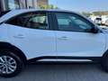 Opel Mokka 1.2 T Edition 100cv 22.000km! Blanc - thumbnail 12