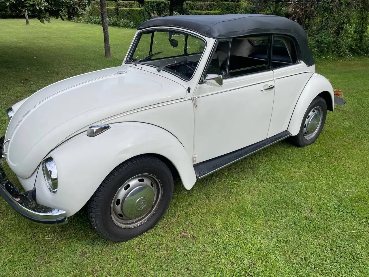 Volkswagen Maggiolino 1600, foto 2