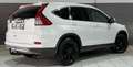Honda CR-V CR-V 1.6 i-DTEC 4WD//1ere Pro//Carnet//Navi// Schwarz - thumbnail 5