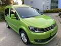 Volkswagen Caddy Caddy 1,6tdi 102Ps (5-Si.)  Edition 1-Hand Grün - thumbnail 13