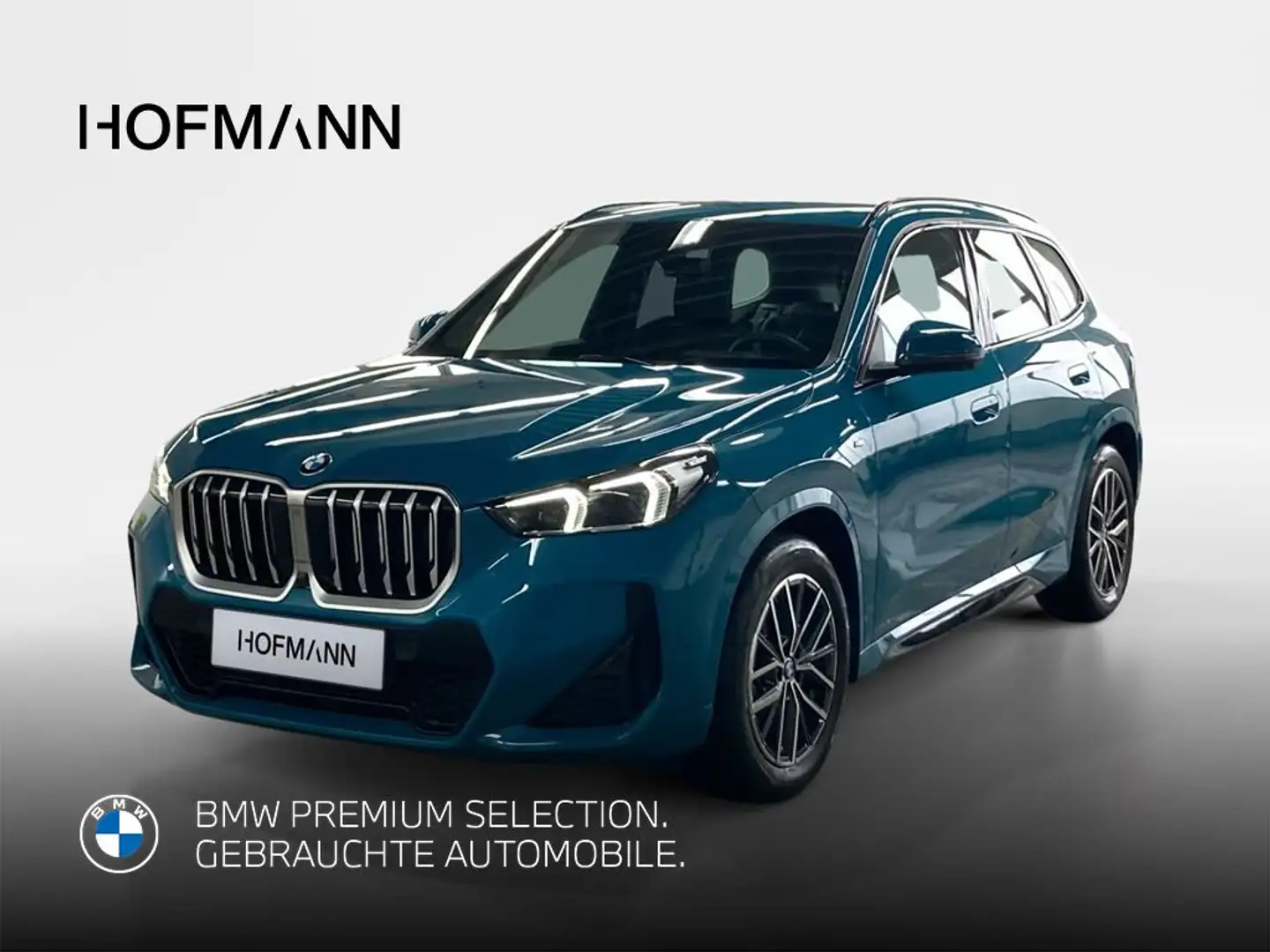 BMW X1 M Sport Bleu - 1