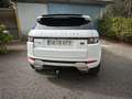 Land Rover Range Rover Evoque Range Rover Evoque 2.2L TD4 Dynamic 4x4 Aut. Dynamic Blanco - thumbnail 5