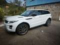 Land Rover Range Rover Evoque Range Rover Evoque 2.2L TD4 Dynamic 4x4 Aut. Dynamic Blanco - thumbnail 1