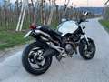 Ducati Monster 696 White - thumbnail 2