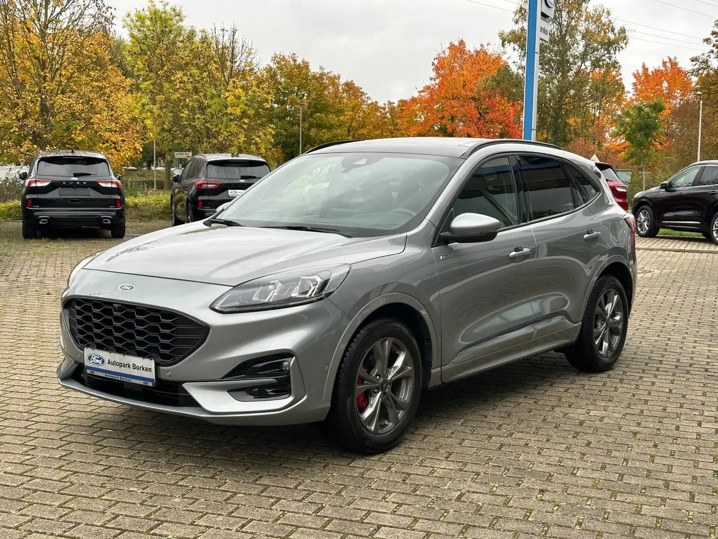 Ford Kuga ST-Line X Panorama Technologie Paket Winter Silber - 1