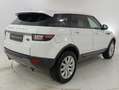 Land Rover Range Rover Evoque Evoque 2.0 td4 SE 180cv 5p auto Bianco - thumbnail 6