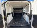 Fiat Doblo 1.6 MJET E6D 105cv S.&S.PC-TN 3 POSTI CARGO LOUNGE Bianco - thumbnail 10