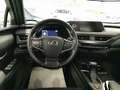 Lexus UX 250h 2.0 Executive 2wd cvt Green - thumbnail 14