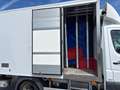 Mercedes-Benz Sprinter 516CDI,Carrier,-20°C Tiefkühl+Strom Weiß - thumbnail 3