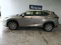 Lexus NX 300 300h Business Navigation 2WD Gris - thumbnail 2