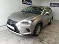 Lexus NX 300 300h Business Navigation 2WD Gris - thumbnail 1