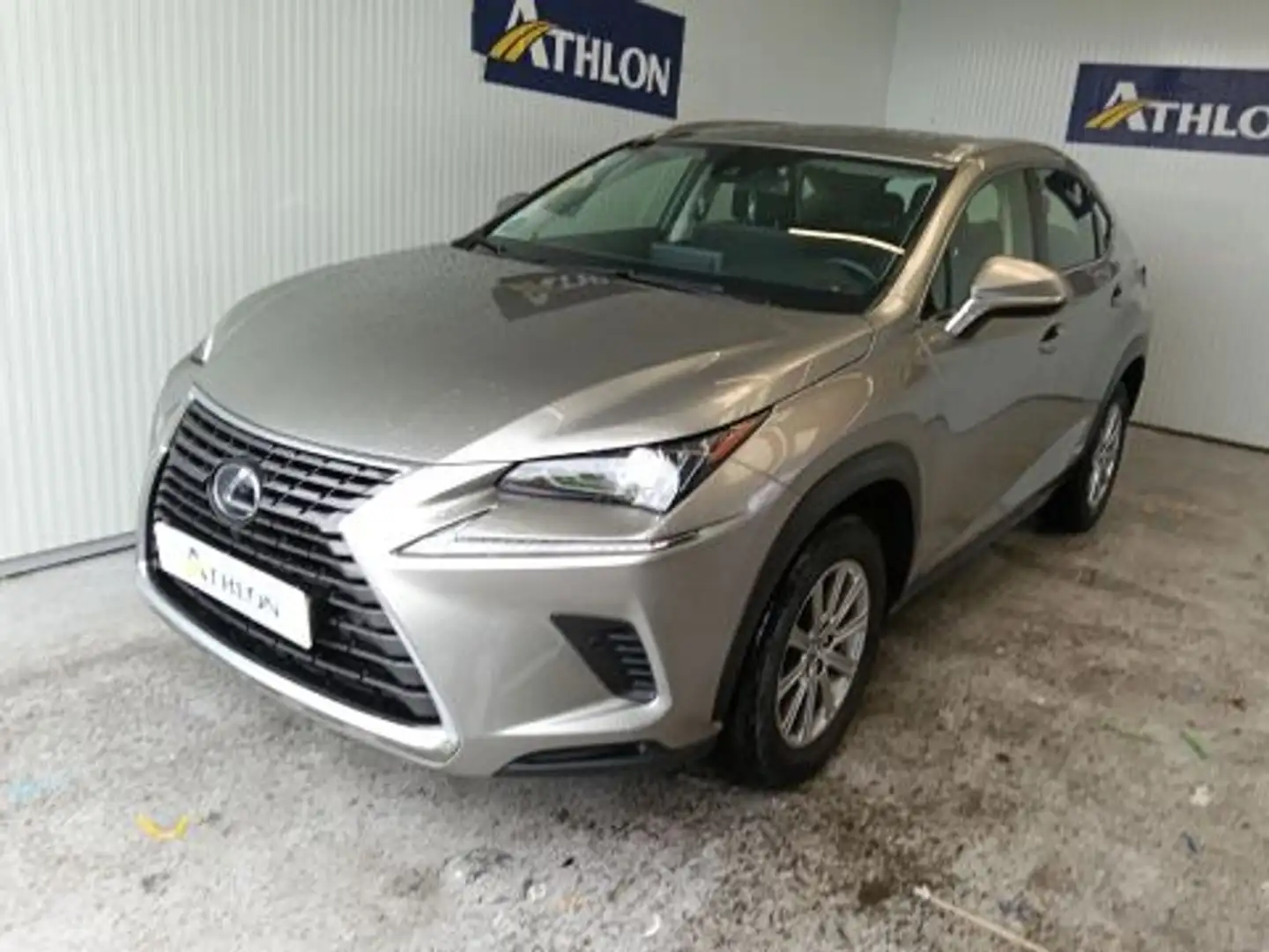 Lexus NX 300 300h Business Navigation 2WD Gris - 1