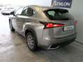 Lexus NX 300 300h Business Navigation 2WD Gris - thumbnail 3