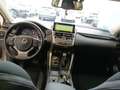 Lexus NX 300 300h Business Navigation 2WD Gris - thumbnail 6