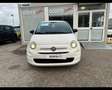 Fiat 500 1.0 FireFly Hybrid Connect Bianco - thumbnail 2