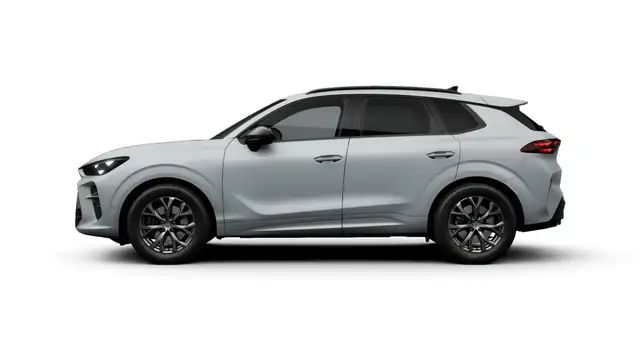 Cupra Terramar view 6