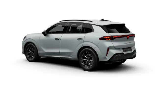 Cupra Terramar view 5