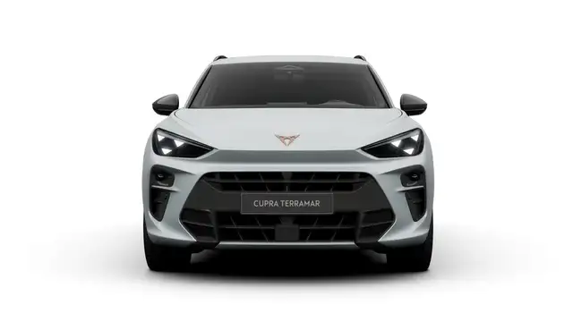 Cupra Terramar view 3