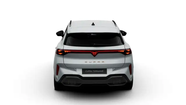 Cupra Terramar view 7