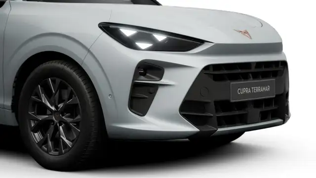 Cupra Terramar view 8
