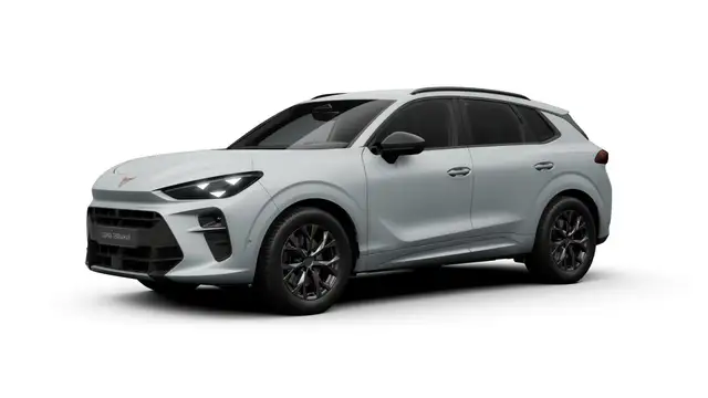 Cupra Terramar view 2