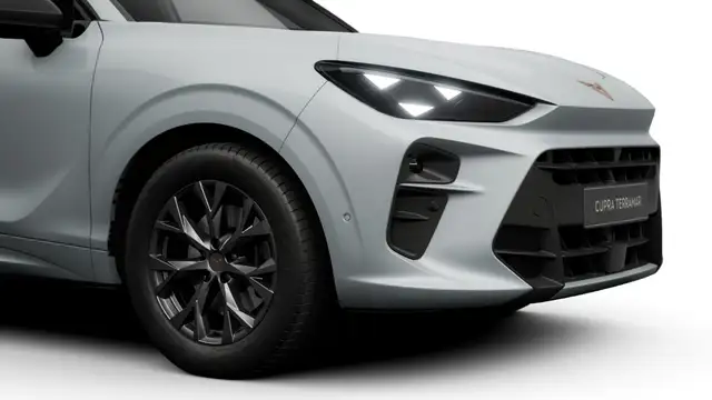 Cupra Terramar view 4