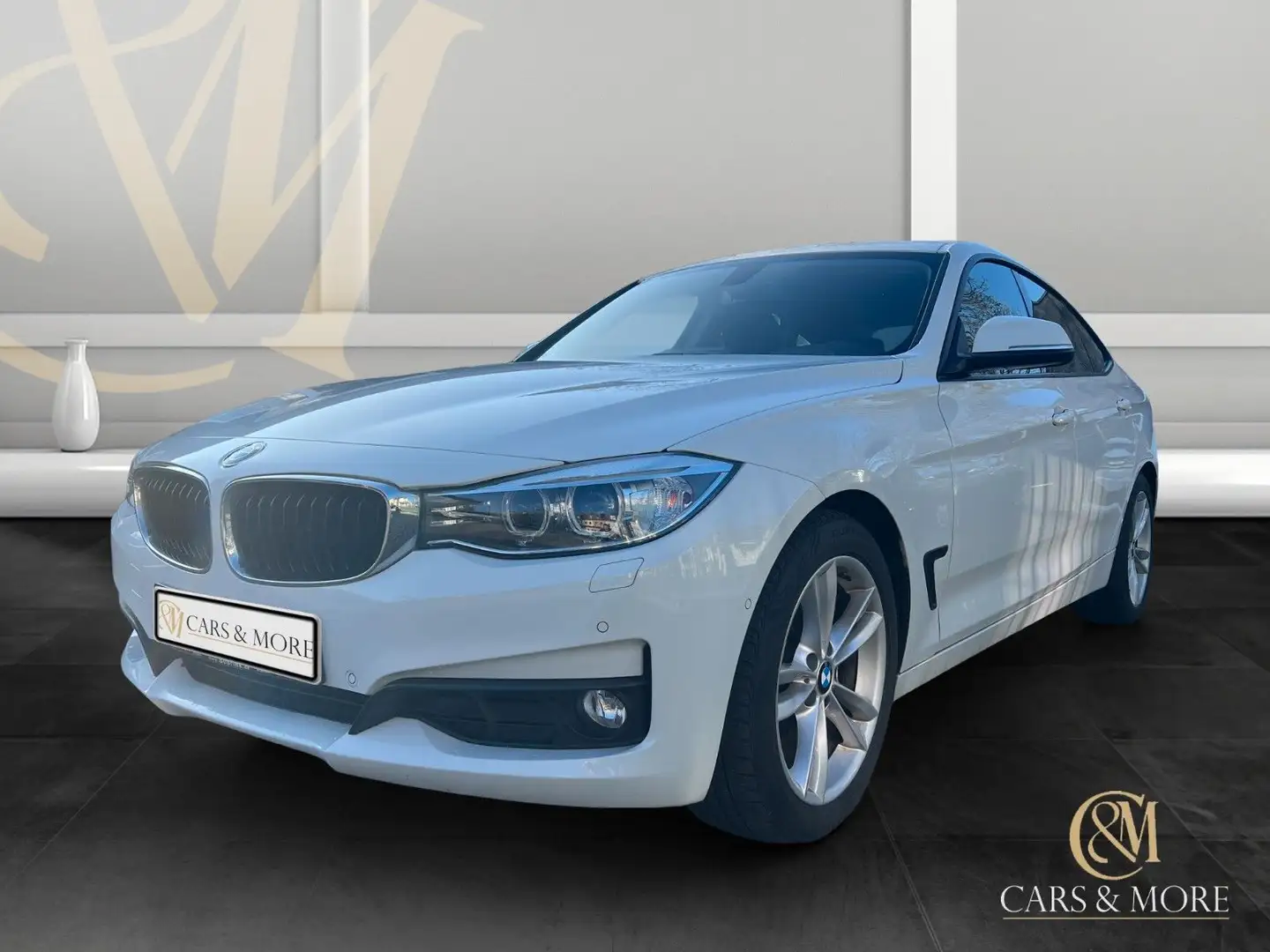 BMW 320 Gran Turismo RFK SHZ AHK Naviprof PDC Weiß - 1