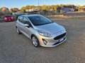Ford Fiesta 5p 1.5 tdci Plus 85cv Argento - thumbnail 3