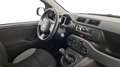 Fiat Panda 1.0 FireFly S&S Hybrid Grau - thumbnail 6