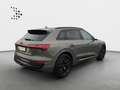 Audi Q8 e-tron 55 quattro Advanced*Navi*Matrix*HUD*AH Grau - thumbnail 19