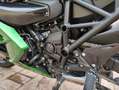 Kawasaki Ninja H2 SX SE Zielony - thumbnail 8