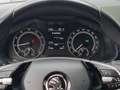 Skoda Kamiq 1,0 TSI Style DSG Grau - thumbnail 12