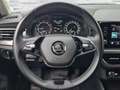 Skoda Kamiq 1,0 TSI Style DSG Grau - thumbnail 11