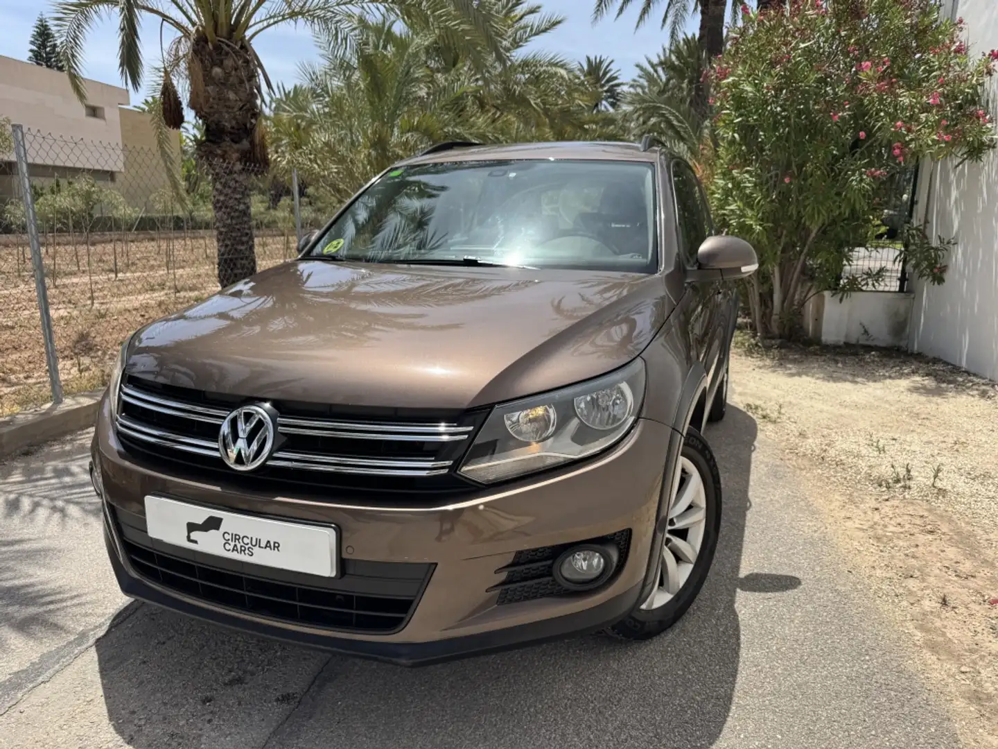 Volkswagen Tiguan 2.0TDI BMT Cross 4x2 110 Braun - 2