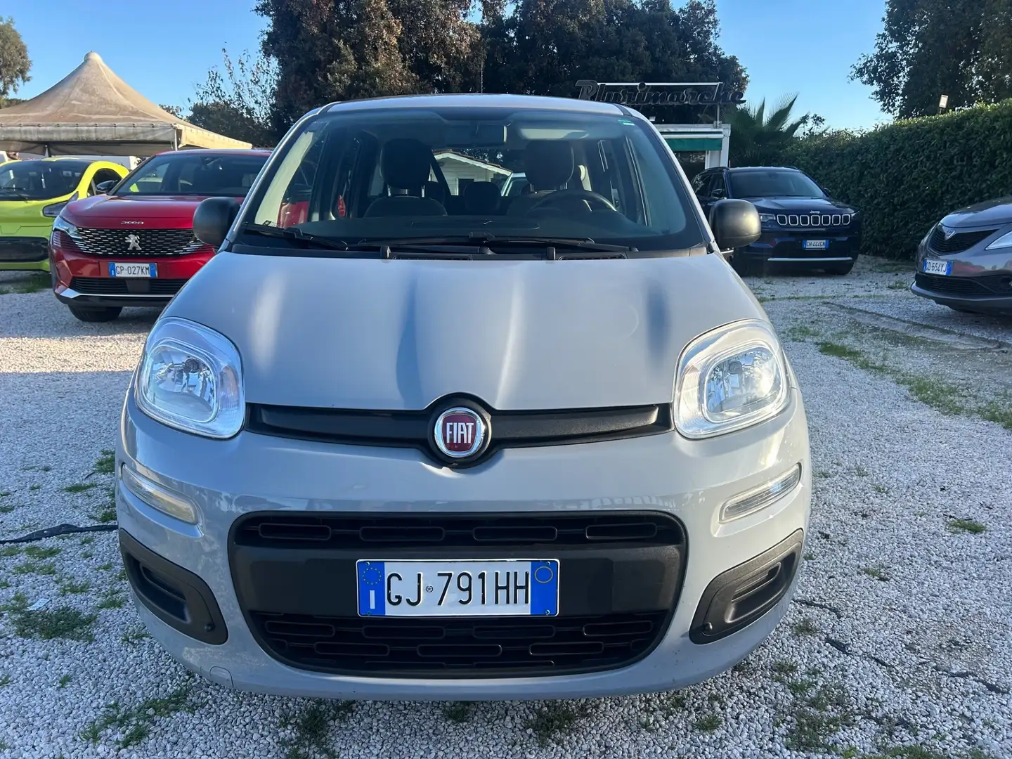 Fiat Panda Panda 1.0 FireFly S&S Hybrid Gris - 1