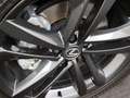 Lexus NX 450h+ AWD Executive Line | Panoramadak | 360 Camera | HU Grün - thumbnail 5