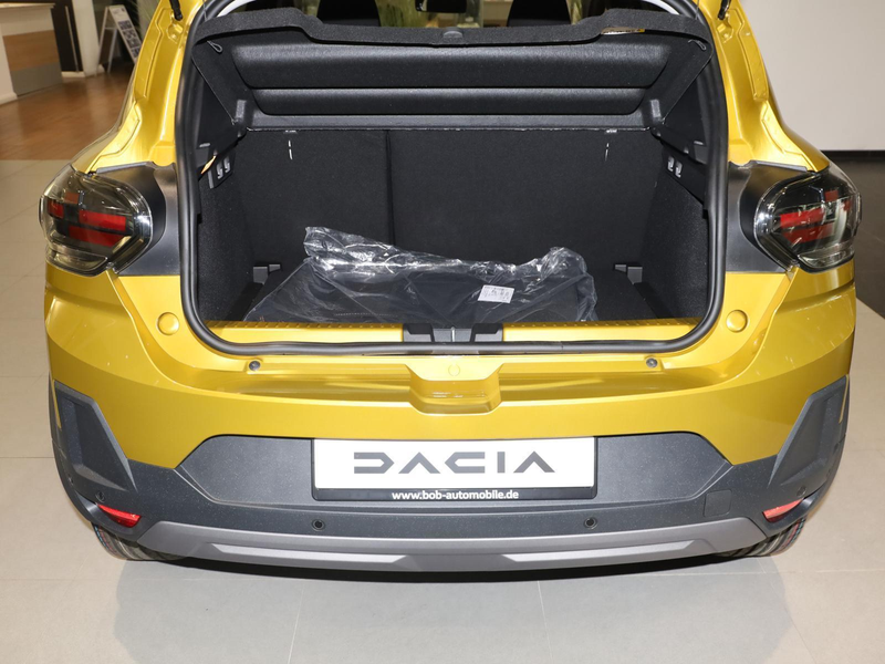Dacia Sandero Stepway Extreme TCe 110 — photo 13