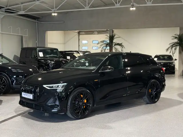 Audi E-Tron view 25