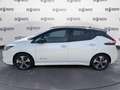 Nissan Leaf Leaf e+ Tekna 62kWh 217cv White - thumbnail 14