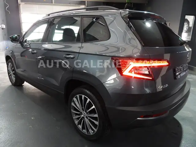 Skoda Karoq view 9