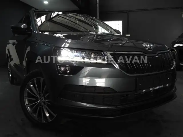 2019 Skoda Karoq in Grey for sale