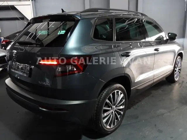 Skoda Karoq view 4