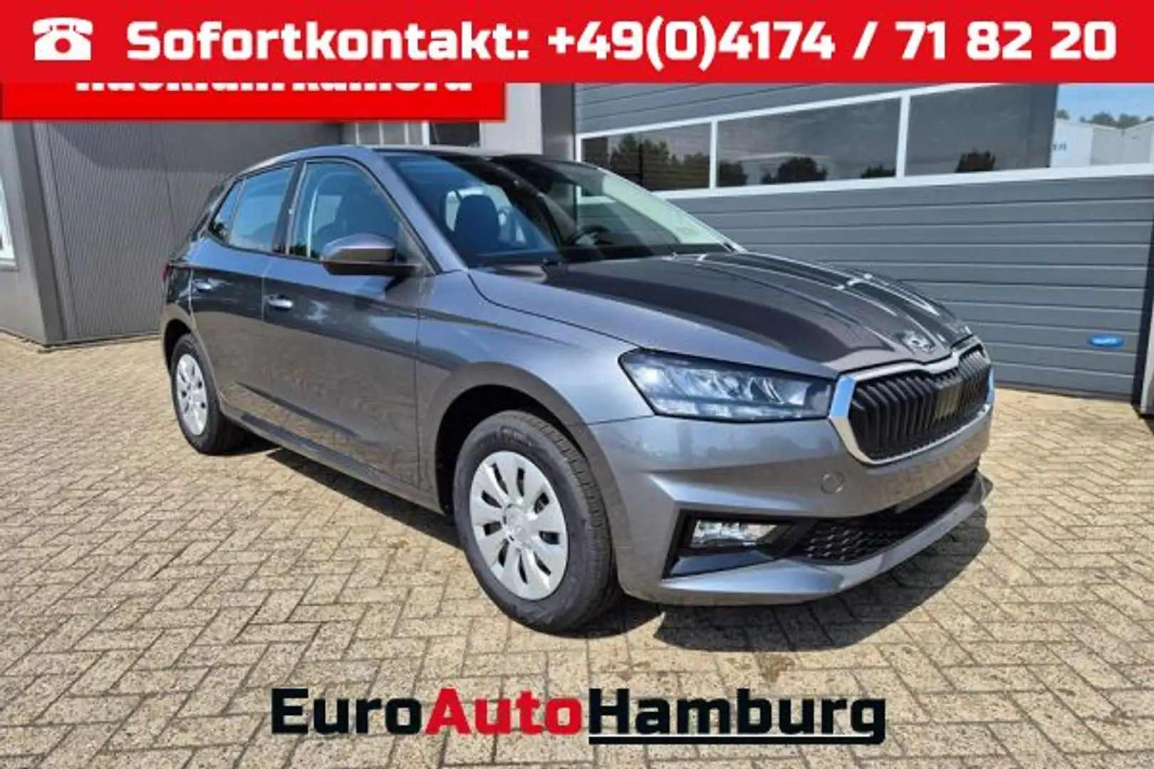 Skoda Fabia 1.0 TSI 115PS DSG Selection 5-türig Rückf.Kamera P Gris - 1