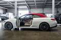Mercedes-Benz CLE 220 d AMG Line  / Advanced + / Leder Beige Weiß - thumbnail 14